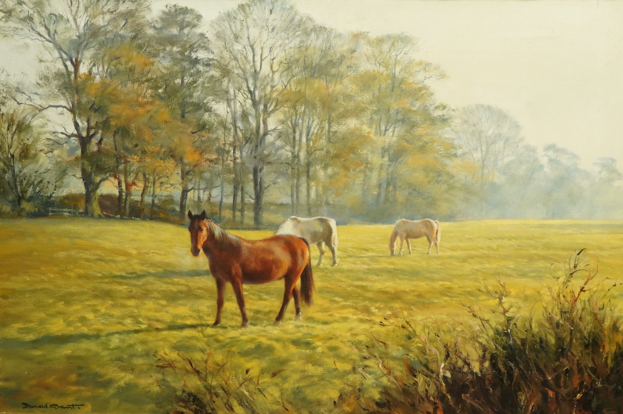 Donald Grant (English, 1924-2001), Horses in a paddock, oil on canvas, 60 x 90cm